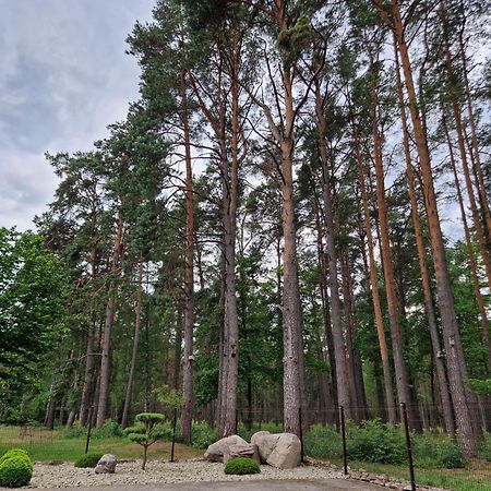 Apartamentai Renata Druskininkai Exteriér fotografie