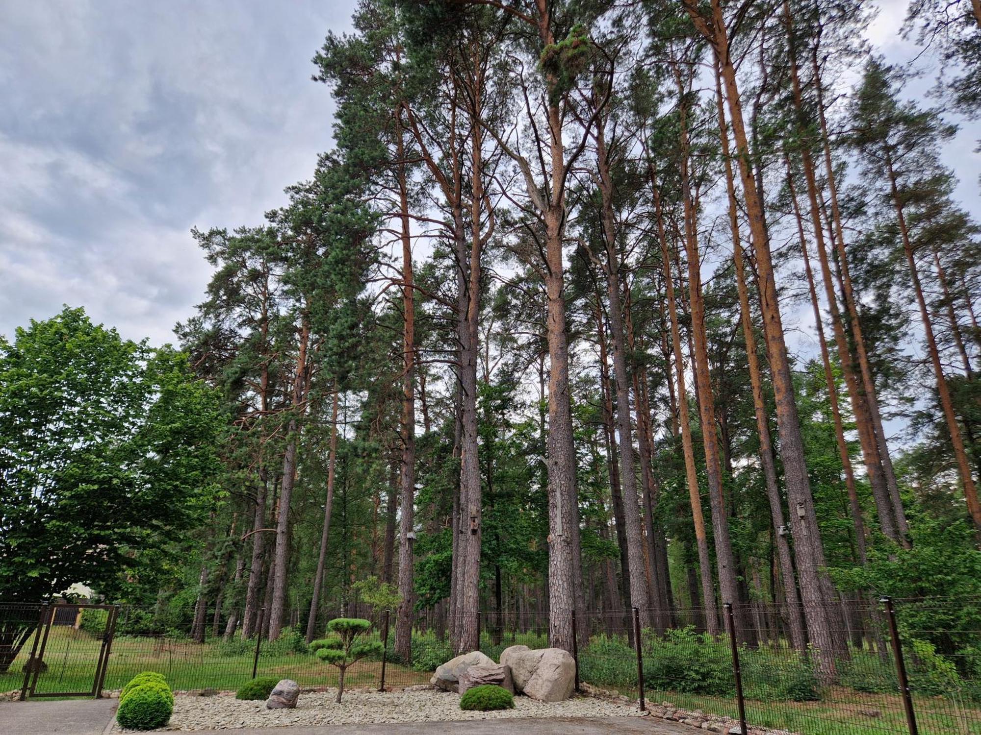 Apartamentai Renata Druskininkai Exteriér fotografie